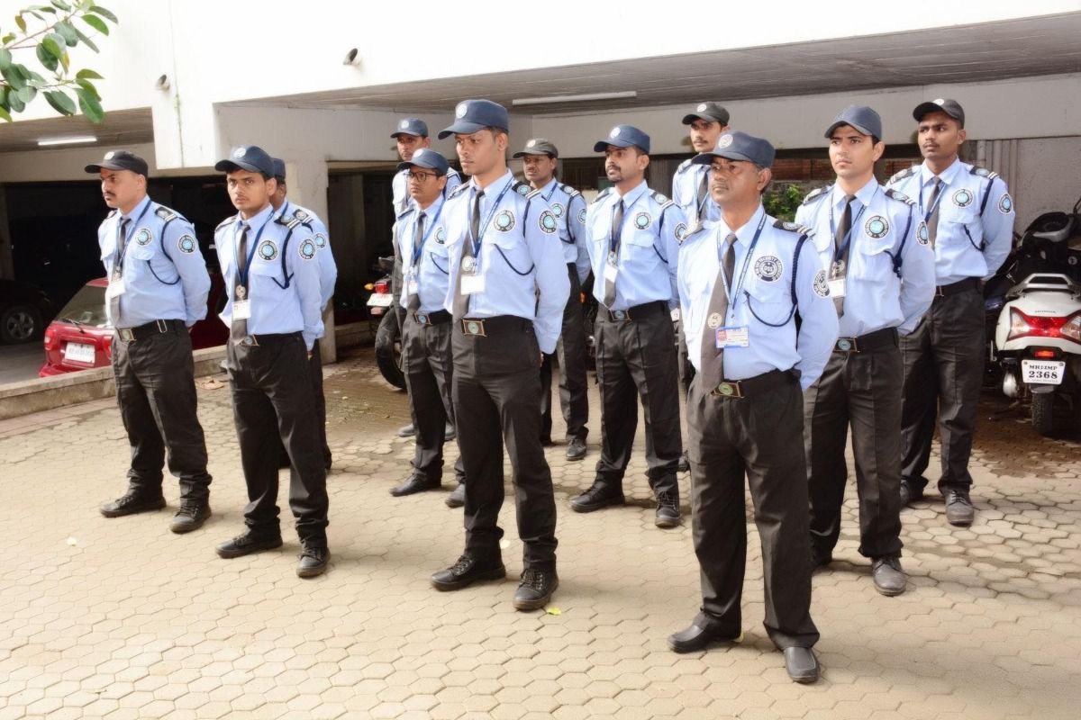 Professional Security Team